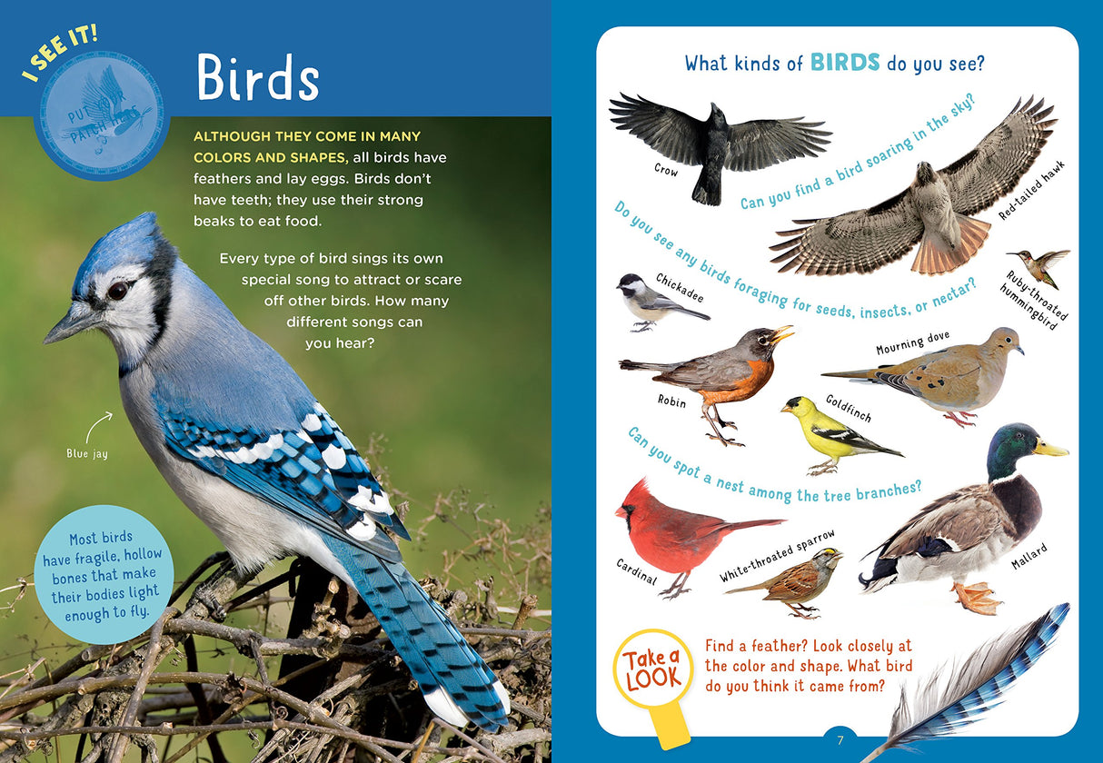 Backpack Explorer: On the Nature Trail showing colorful birds and educational bird facts for young nature explorers.