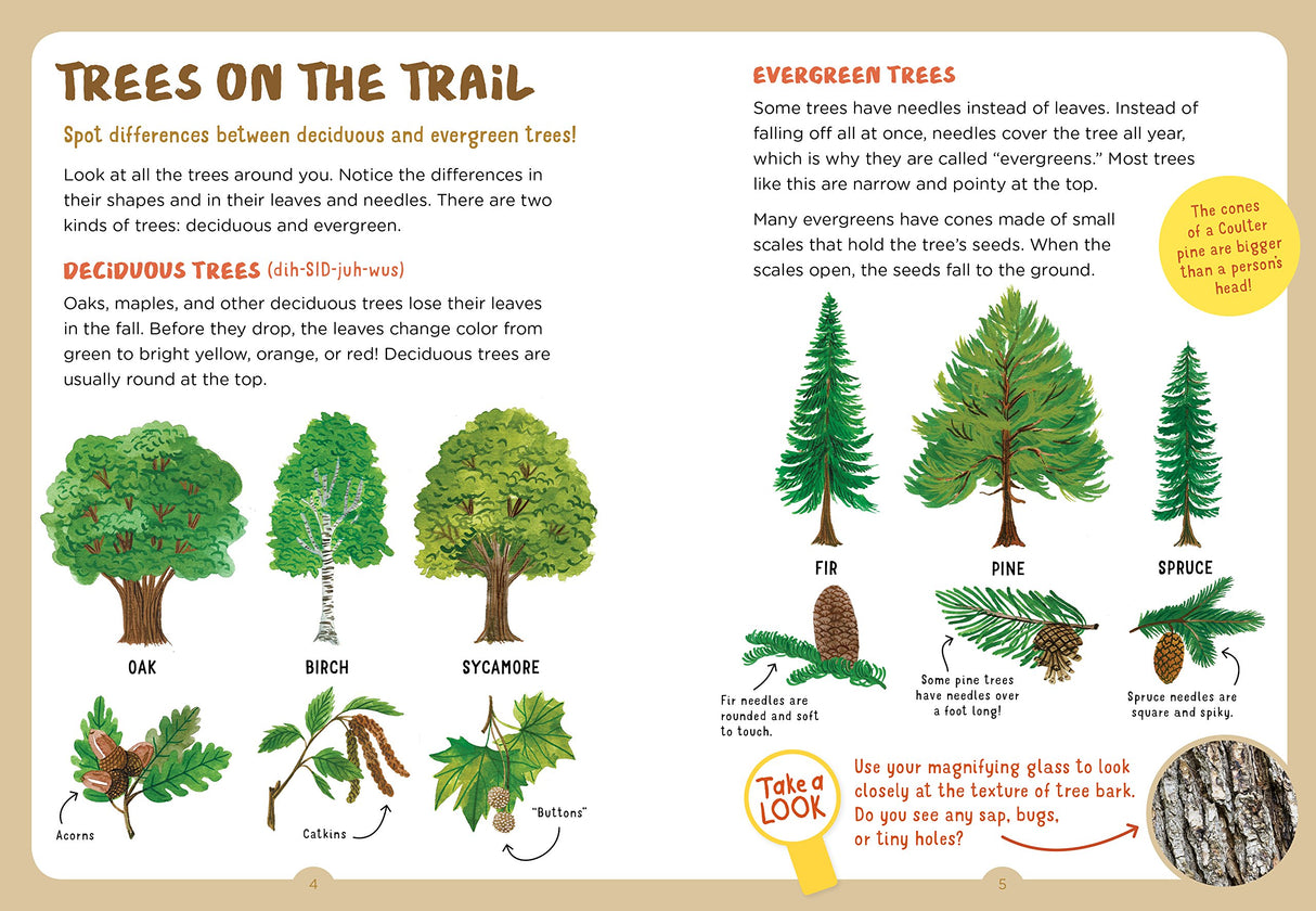 Backpack Explorer: On the Nature Trail page showing differences between deciduous and evergreen trees with illustrations and leaf details.