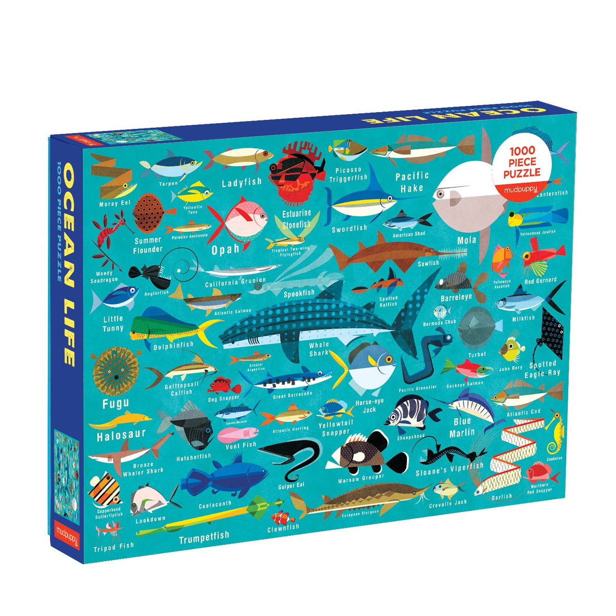 1000pc Ocean Life Puzzle featuring colorful fish illustrations in a sturdy box, perfect for family fun and education.