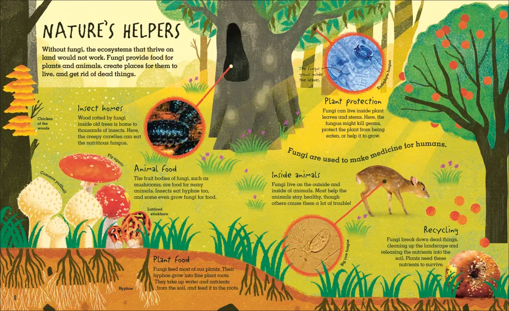 Humongous Fungus book illustration showing fungi's role in ecosystems, nature, and wildlife with colorful forest floor artwork.