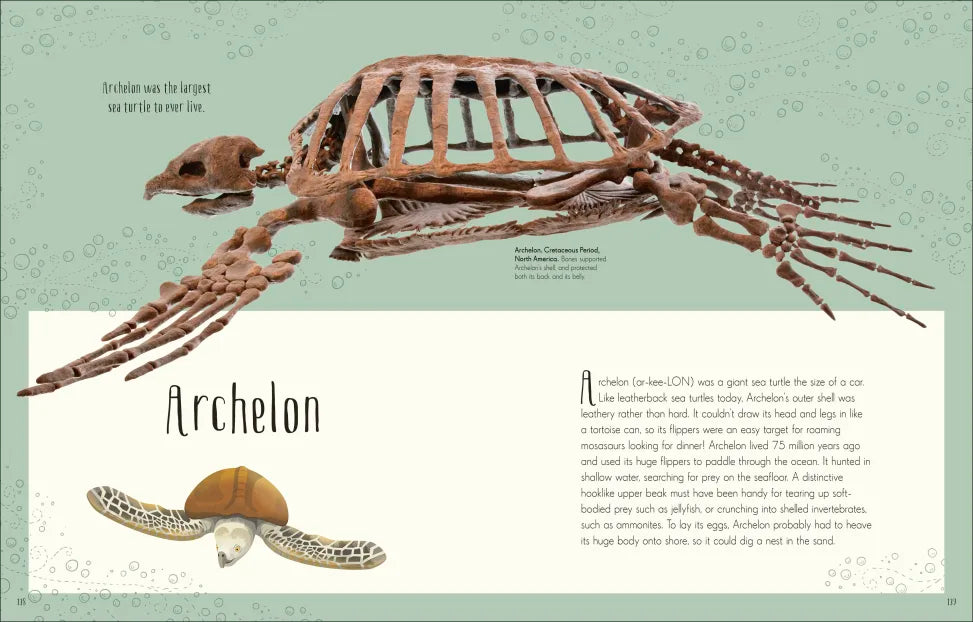 Dinosaurs & Other Prehistoric Creatures showing an illustrated Archelon turtle with its fossil and description.