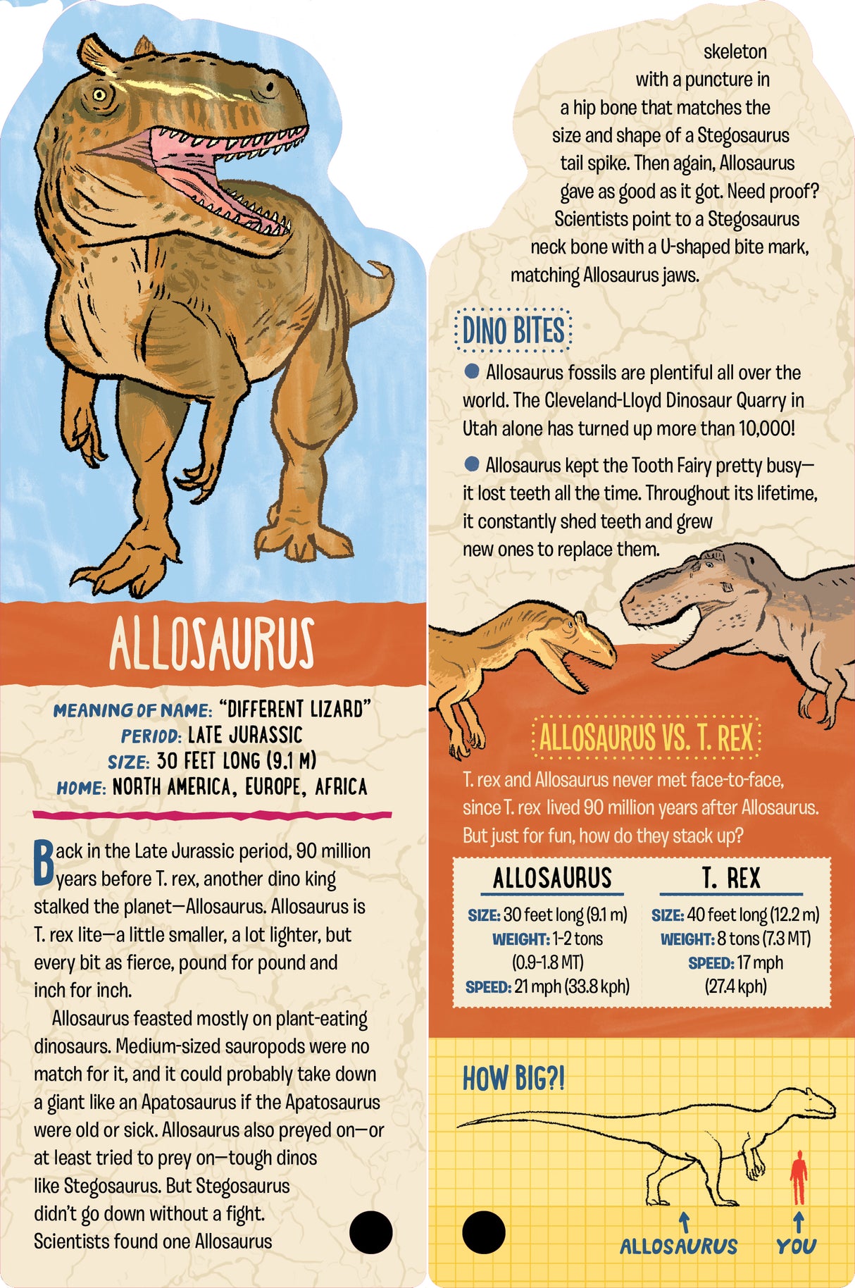 Fandex Kids: Dinosaurs Allosaurus card with facts, size, period, habitat, and comparison to T. rex in bold illustrations.