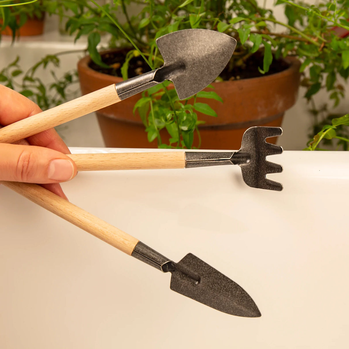 Mini Garden Tool Set with compact beechwood handles and stone wash stainless steel heads for small plant gardening.