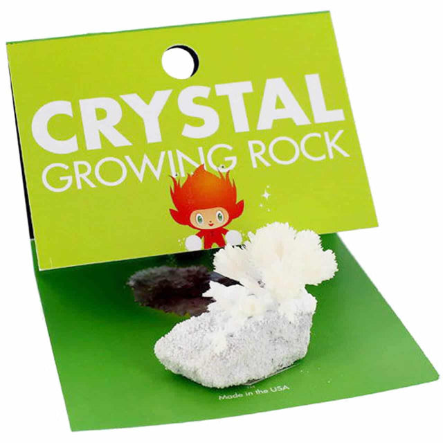 Crystal Growing Rock showing white crystal formations growing on a rock in a green display package.