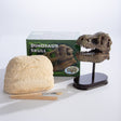 Dig a Dinosaur Skull kit with plaster block, wooden tools, and finished dino skull replica on display stand.