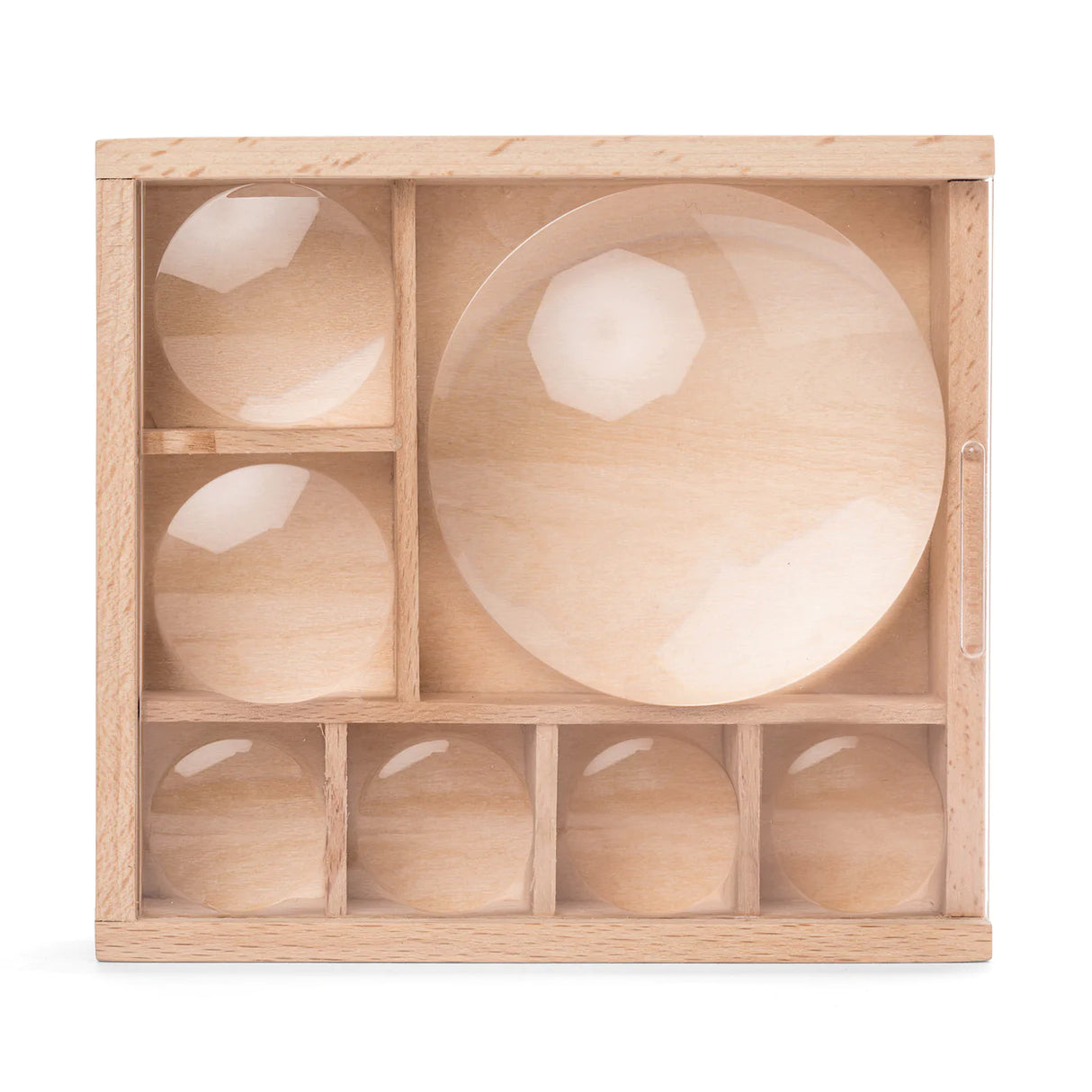 Huckleberry Bug Box wooden storage with 7 compartments and built-in magnifying lenses for outdoor discoveries.