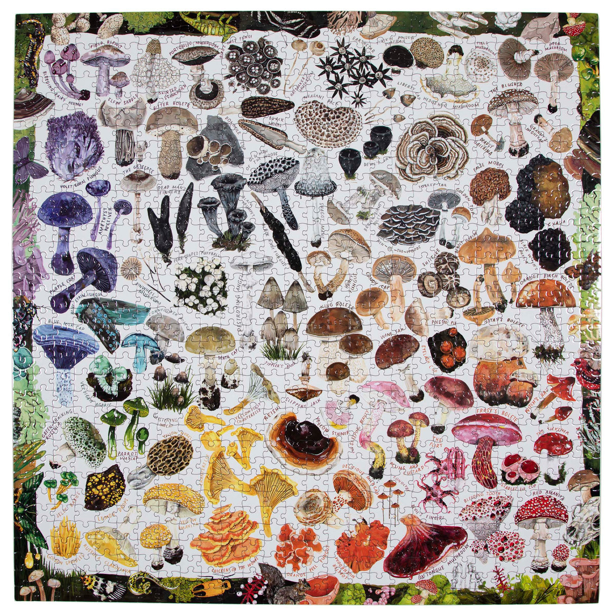 1000pc Mushroom Rainbow Puzzle showing a colorful variety of mushrooms arranged in a detailed square design.