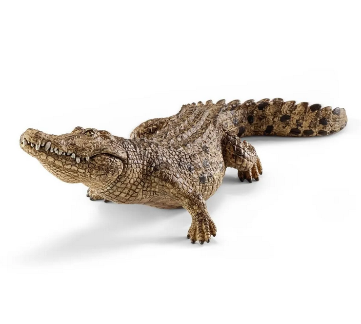Crocodile realistic toy model showing detailed scales and features, perfect for children aged 3-8 years.