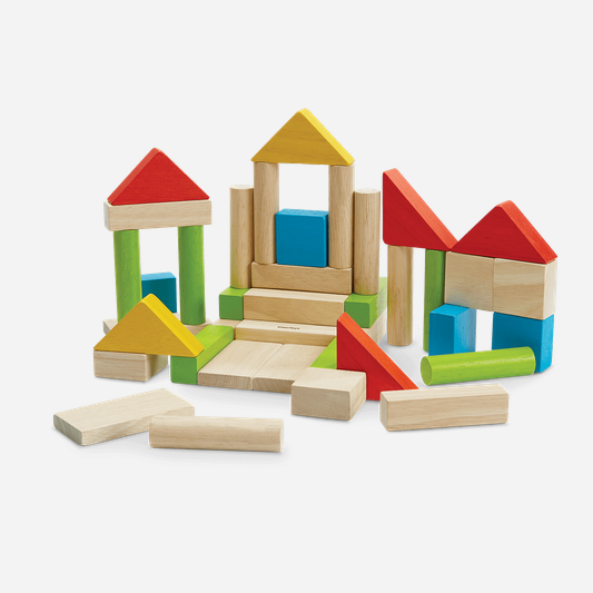Colorful Blocks wooden building set with red, yellow, blue, and green pieces for creative play and learning.