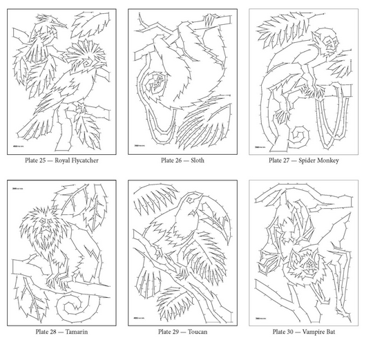 Rainforest Dot to Dot showing complex animal puzzles including royal flycatcher, sloth, spider monkey, tamarin, toucan, and vampire bat.