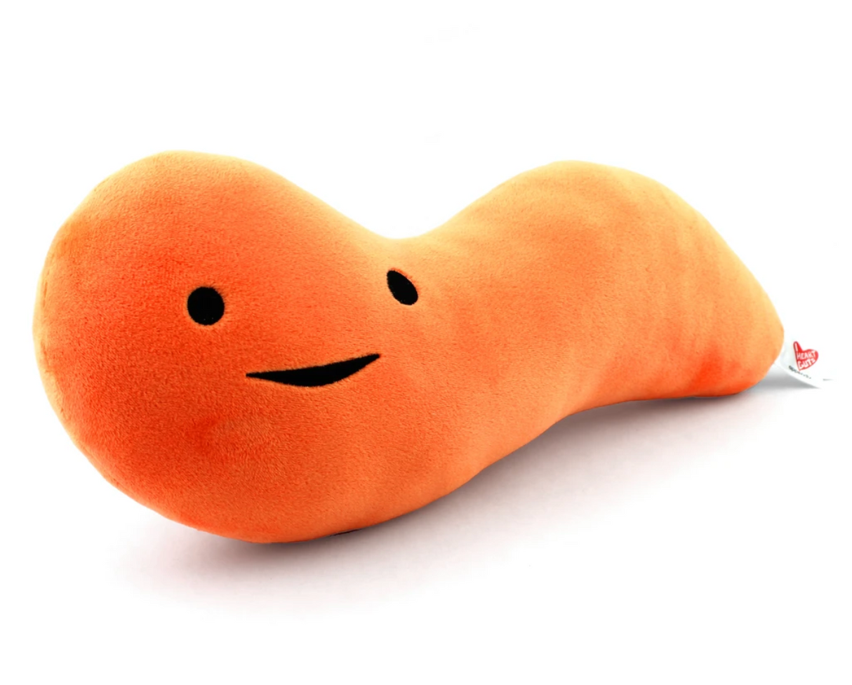 Soft orange plush toy shaped like an enlarged appendix with a friendly face, titled Appendix.