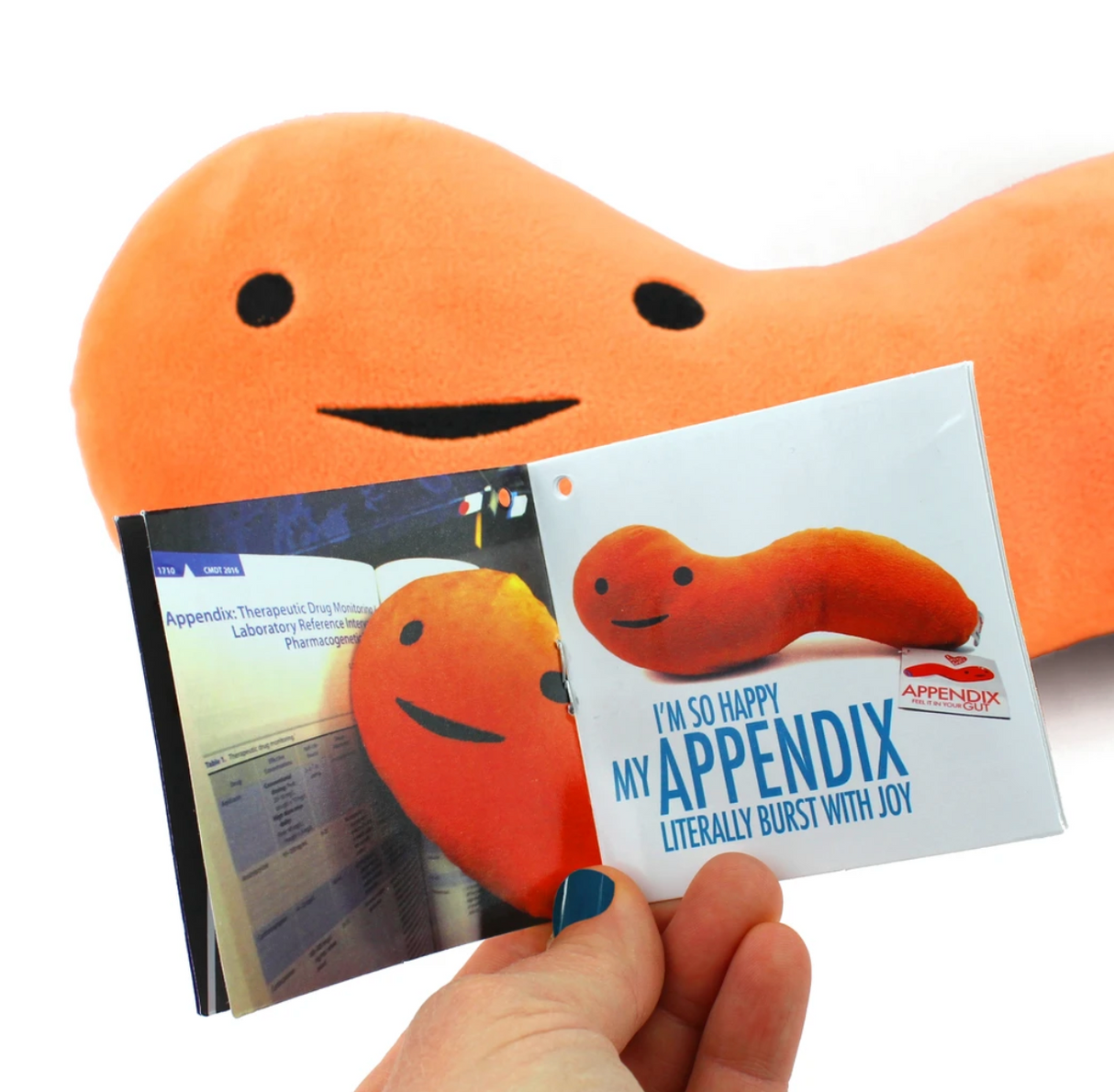 Hand holding booklet with happy orange plush Appendx toy in the background, showing fun facts about the Appendix product.