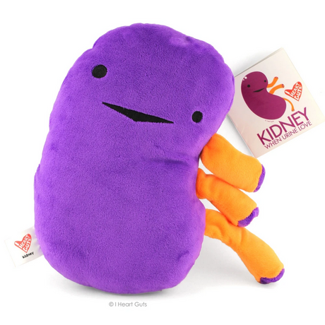 Kidney plush 9x8x3 inches, soft purple stuffed kidney with orange vessels and an 8-page playful hangtag.