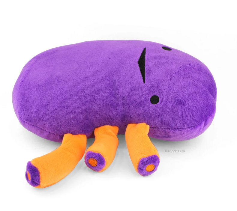 Kidney plush in purple and orange, soft 9"x8"x3" pillow with cute facial details, perfect kidney support pillow.