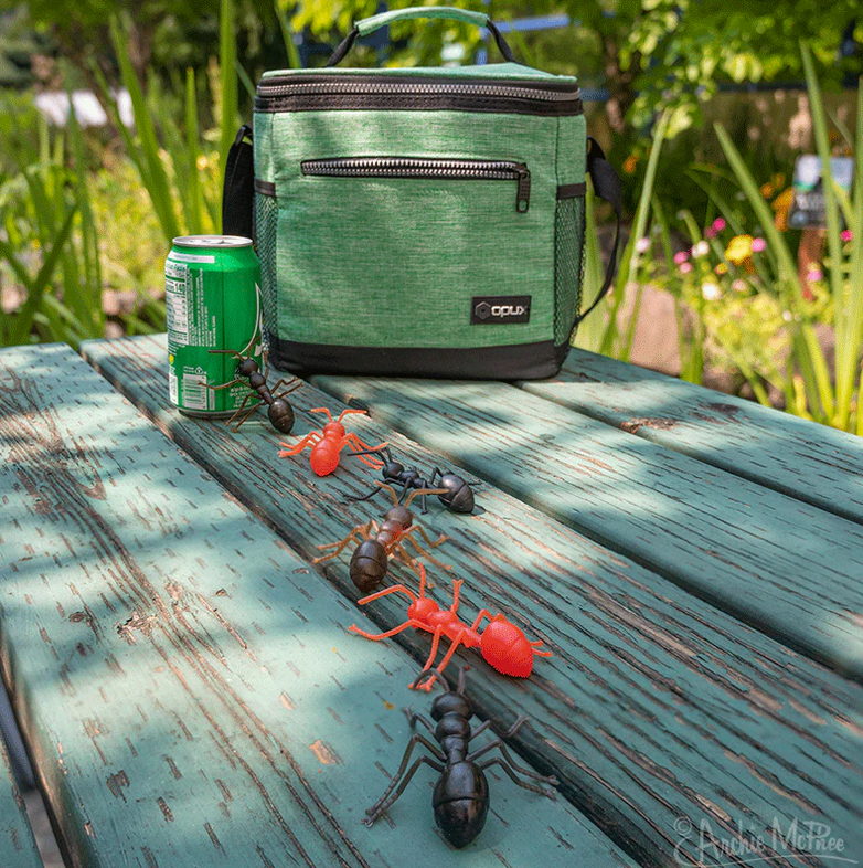 Ants! showing six large hard vinyl ants in three shades lined up on a picnic table next to a green cooler and soda can.