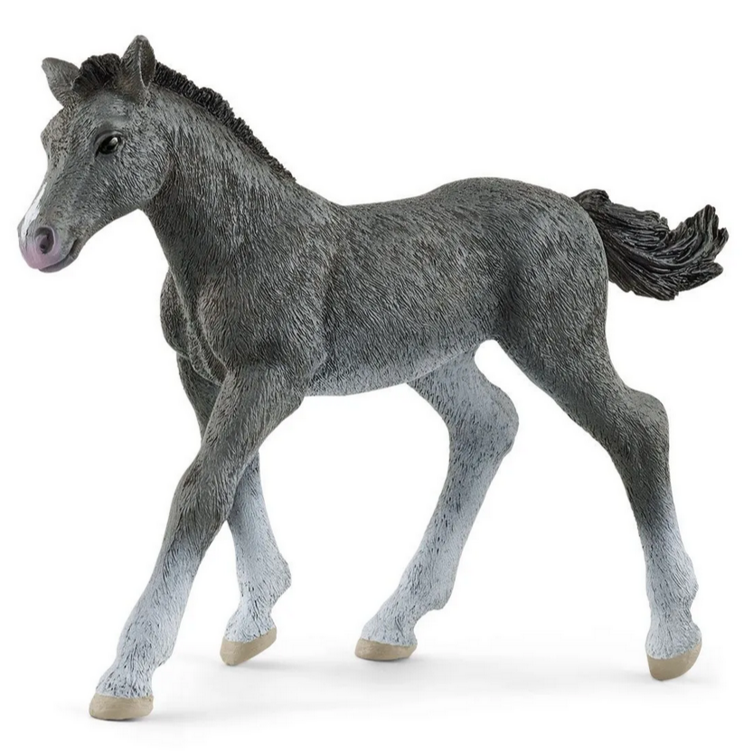 Trakehner Foal collectible figurine showing a realistic grey foal with detailed texture and lifelike pose.