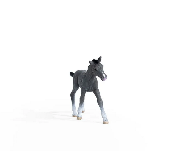 Trakehner Foal collectible figurine showing detailed realistic black and white foal standing on white background.