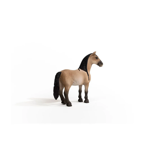 Criollo Definitivo Mare figurine showing a compact, muscular horse with a braided mane on a white background.