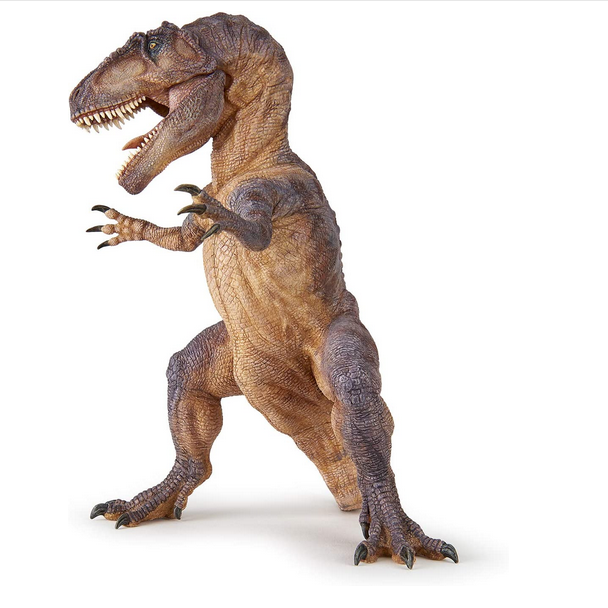 Giganotosaurus dinosaur figure standing with open mouth and detailed textured skin, measuring 7 x 7.8 inches.