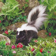 Skunk Puppet with long black fur and white stripes posed in a lush garden setting with flowers and greenery.