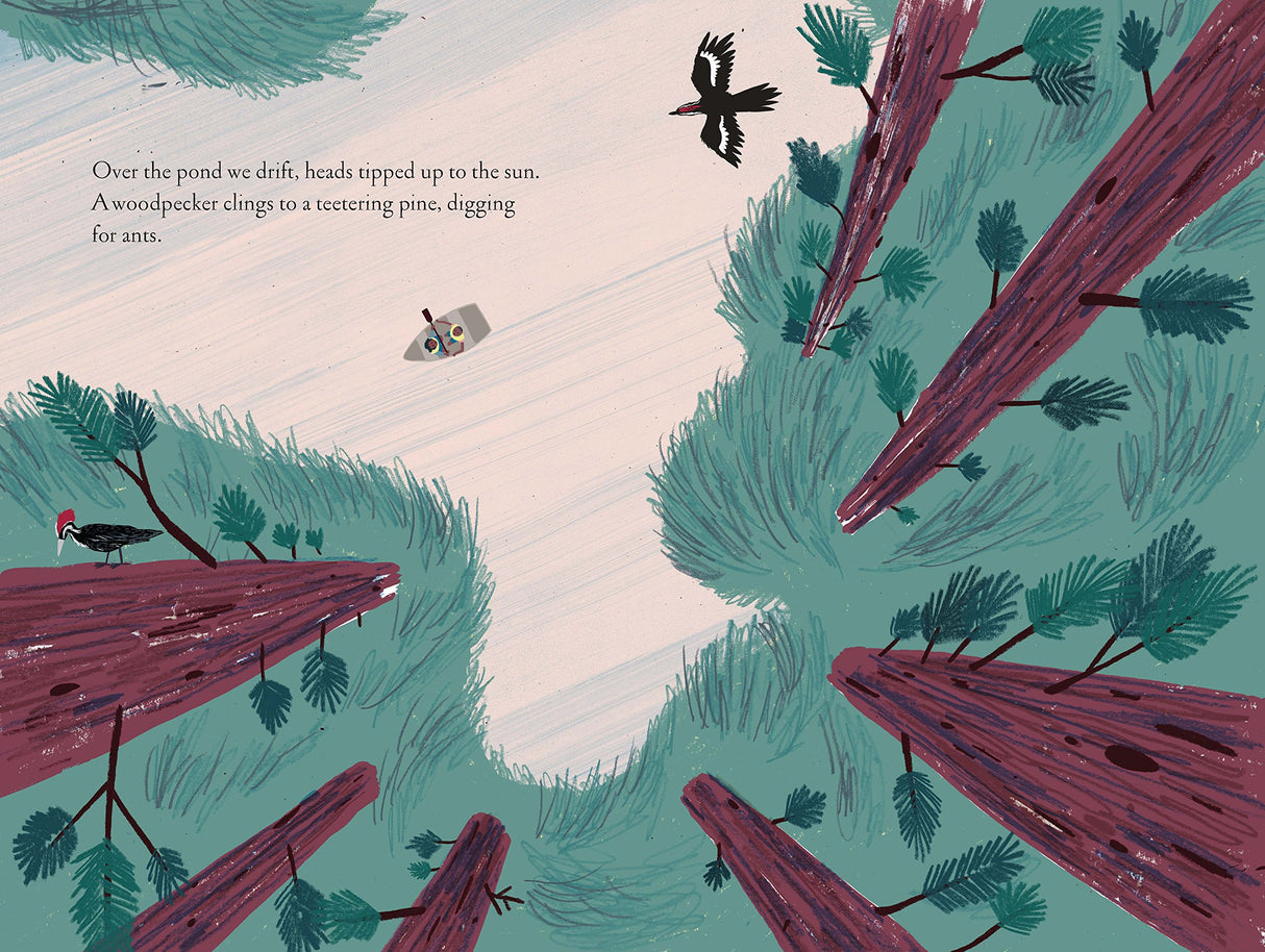 Over and Under the Pond illustration showing tall pine trees and woodpeckers near a pond reflecting the sky.