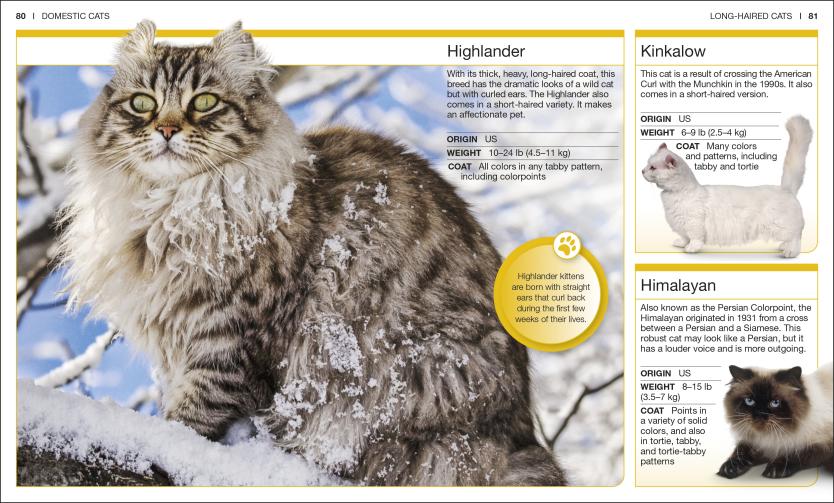 Pocket Genius Cats showing Highlander, Kinkalow, and Himalayan cat breeds with photos and breed facts in a pocket encyclopedia.