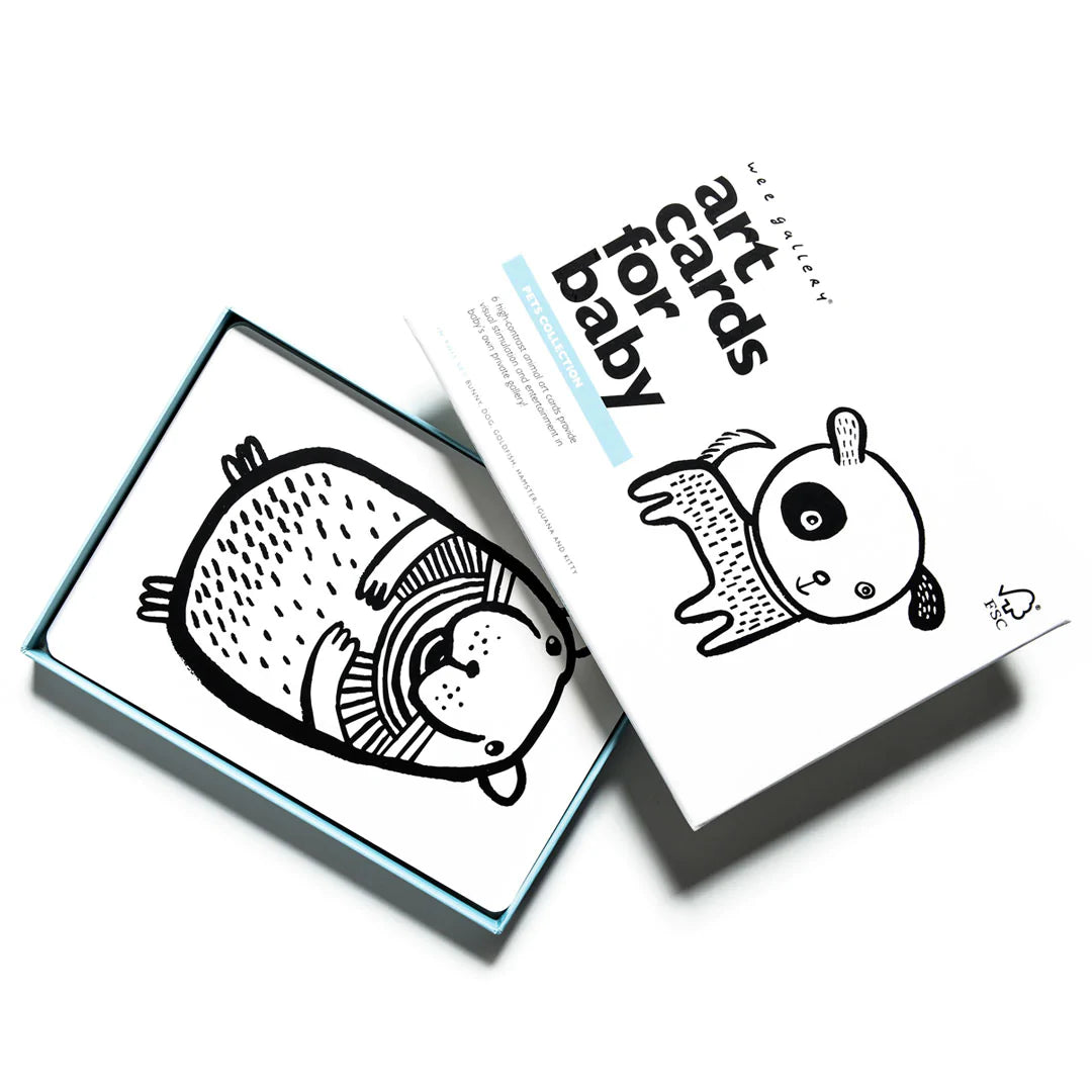 Pets Art Cards featuring black-and-white animal designs like dog and hamster to develop baby's visual perception.