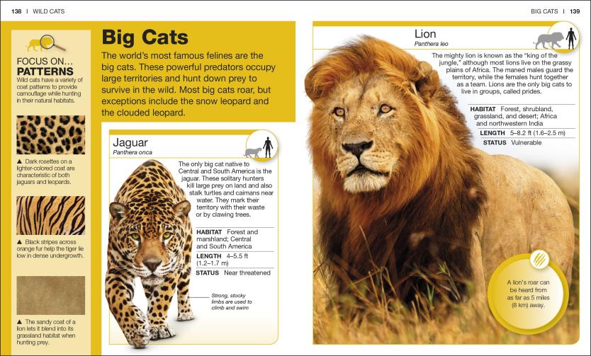 Pocket Genius Cats showing detailed info and images of big cats like lions and jaguars in a compact encyclopedia format.