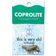 Coprolite Turtle Poop fossilized turtle poop in packaging labeled "this is very old turtle poop" for ages 5+
