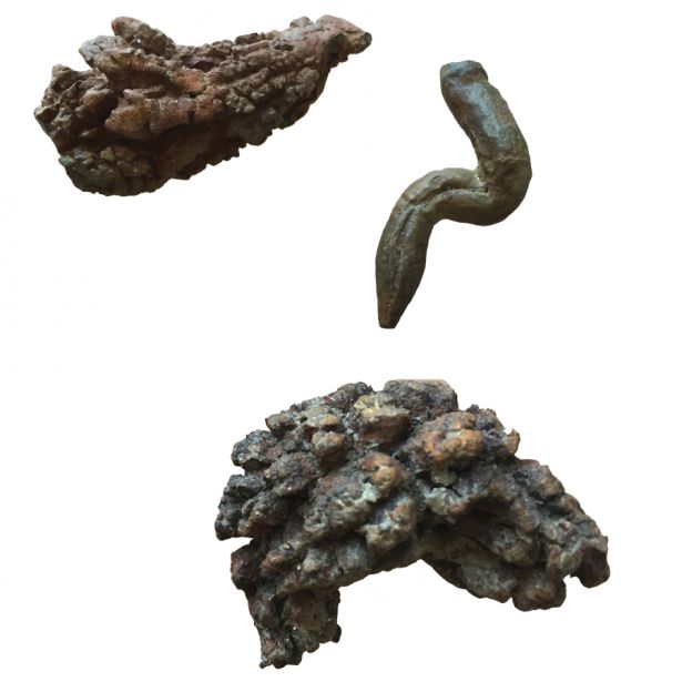 Three pieces of Coprolite Turtle Poop showing fossilized turtle droppings in various shapes and textures.