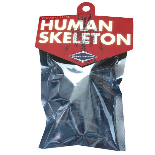 Human Skeleton glowing 16 piece puzzle in sealed packaging, measures 12 inches tall when assembled.