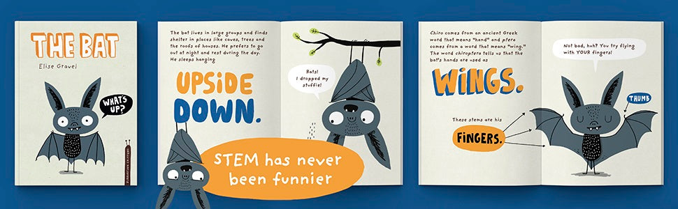 The Bat book cover and pages showing playful bat illustrations teaching kids about bats flying upside down and wings.