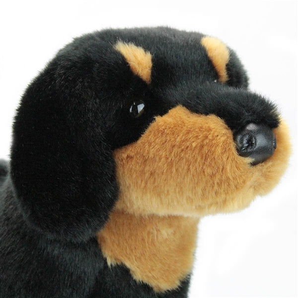 Close-up of Dachshund Spats plush toy showing smooth black and tan fur and detailed nose.