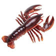Lobster model showing realistic details of a dark blue and red Maine lobster, suitable for ages 3 and up.