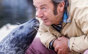 Andre the Famous Harbor Seal with Harry Goodridge sharing a close, friendly moment in Rockport, Maine harbor.