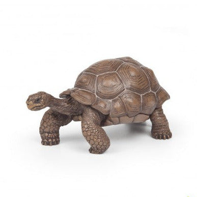 Galapagos Tortoise model showing detailed shell and textured legs, perfect for nature and wildlife enthusiasts.