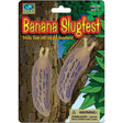 Stretchy Banana Slugs soft, sticky, stretchy toy slugs crawling on a tree, realistic and fun for ages 5 and up.