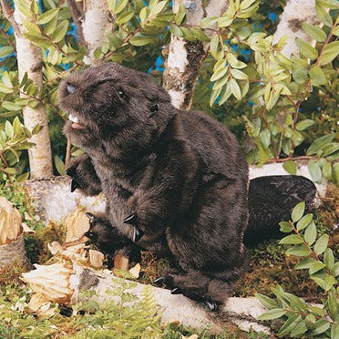 Beaver Puppet with sleek brown fur, textured flat tail, movable mouth, and realistic paws in a natural forest setting.