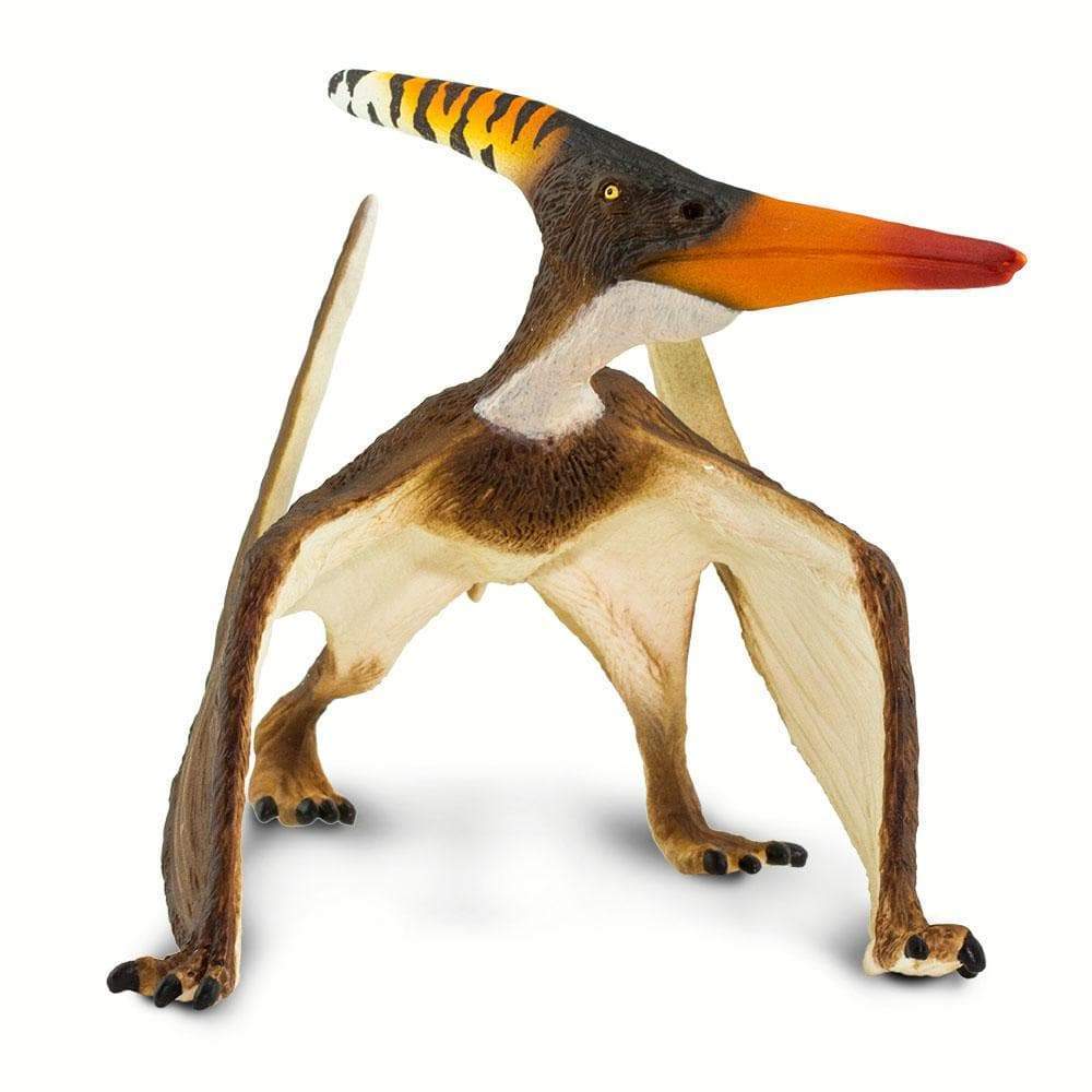 Pteranodon figure posed at rest with large crest, detailed wings, and lifelike colors showing flying reptile features.