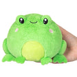 Frog Snackers plush toy with soft green fur, cute smile, and bean-filled body held in a hand, perfect for all ages.