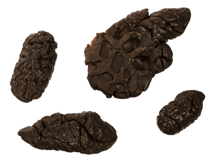 Doggo Doo Doo Prank with four realistic plastic puppy poop pieces for funny, gross jokes and pranks.