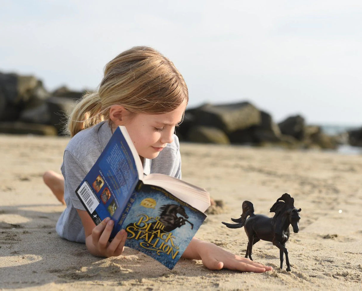 Child reading The Black Stallion with Book beside black stallion toy on sandy beach in bright daylight