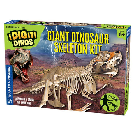 Dinosaur Skeleton Kit featuring a 2-foot-long T. rex model with detailed bones and display base for ages 6 and up.