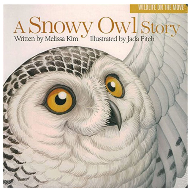 A close-up illustrated snowy owl with bright eyes on the cover of the board book A Snowy Owl Story.