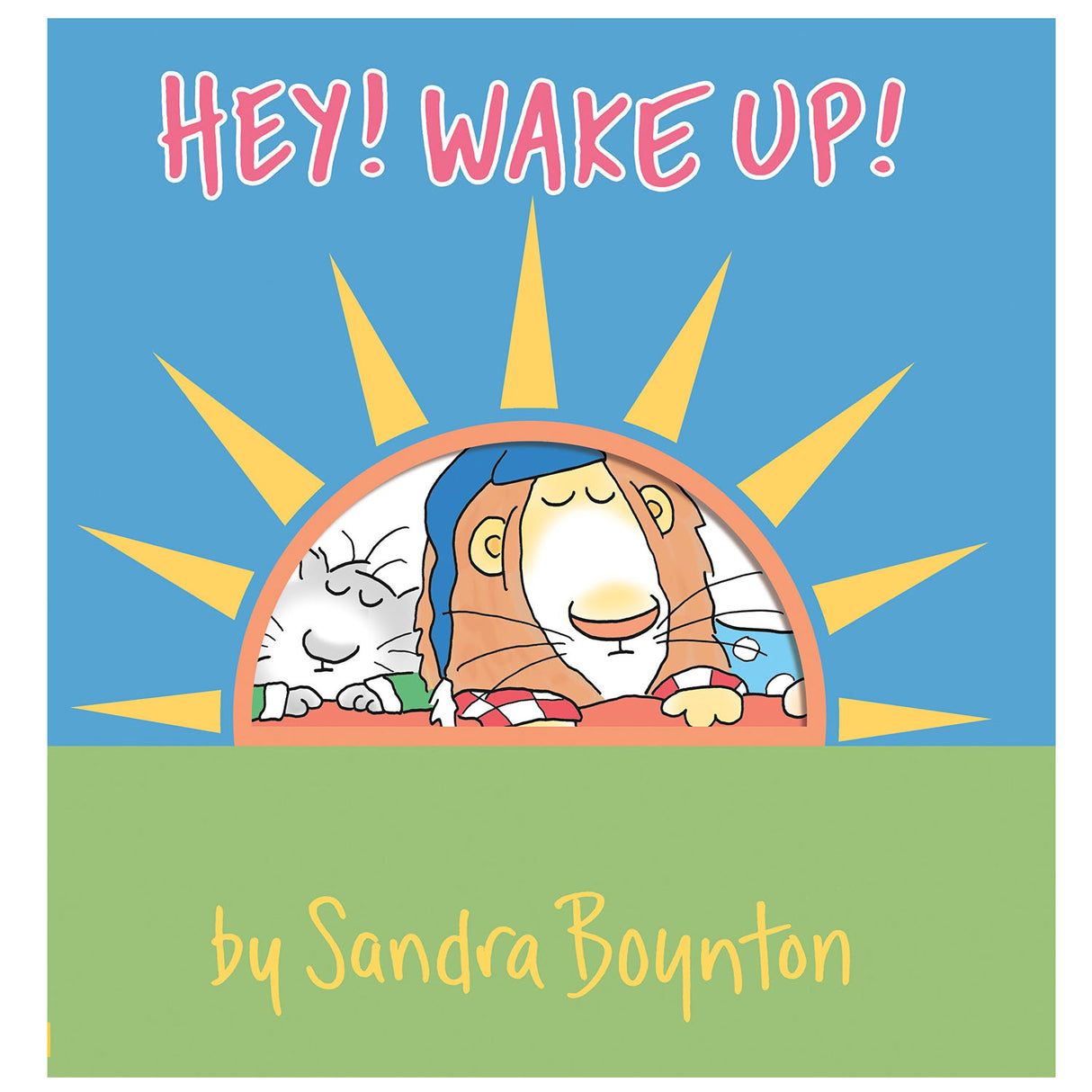 Cover of Hey, Wake Up! by Sandra Boynton featuring sleepy animals waking up with a rising sun illustration.