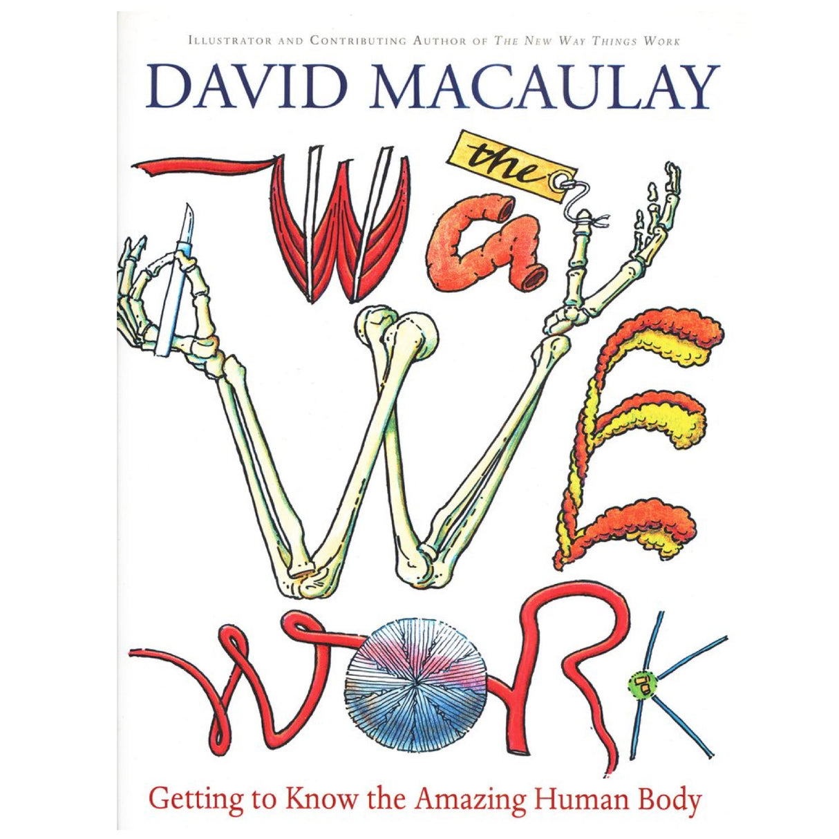 The Way We Work book cover by David Macaulay illustrating human body parts creatively with bones and muscles.