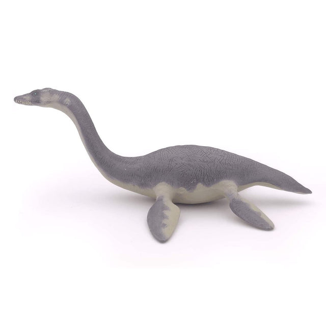 Plesiosaurus toy with long neck and flippers, perfect for kids aged 5+ to explore Jurassic dinosaurs.