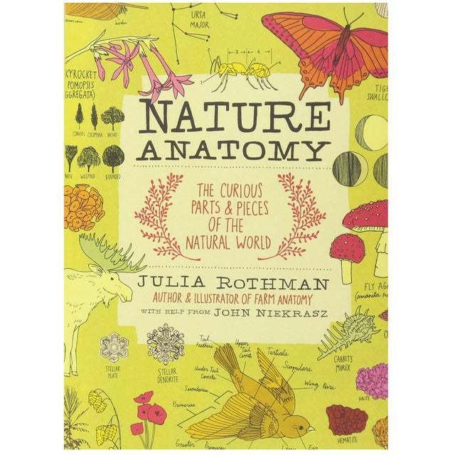 Nature Anatomy book cover by Julia Rothman with colorful nature illustrations and handwritten annotations.