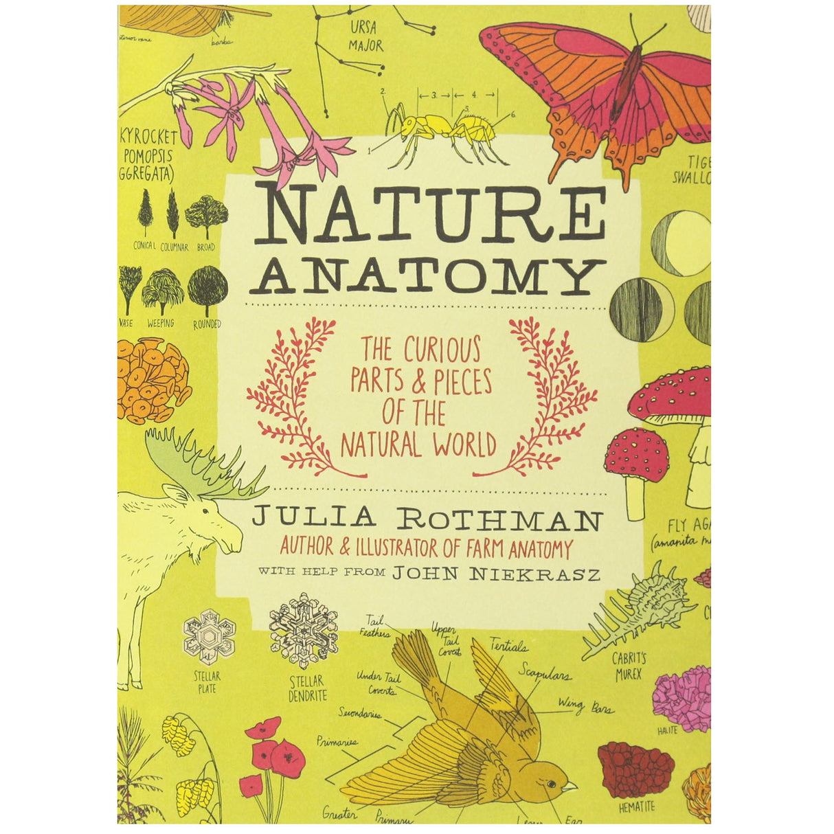 Nature Anatomy book cover by Julia Rothman with colorful nature illustrations and handwritten annotations.