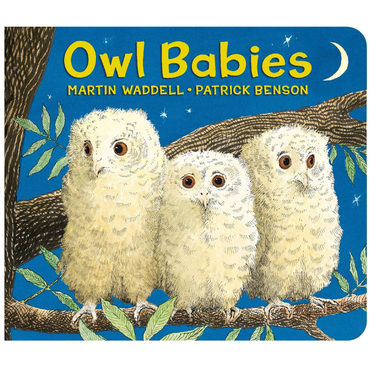 Owl Babies board book cover with three fluffy baby owls perched on a tree branch against a night sky background.